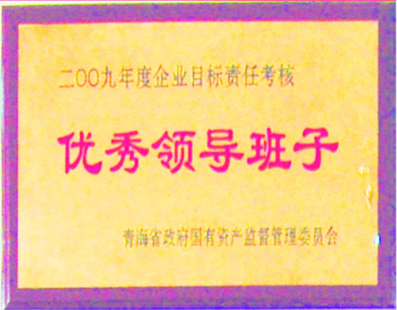 2009年度優秀領導班子