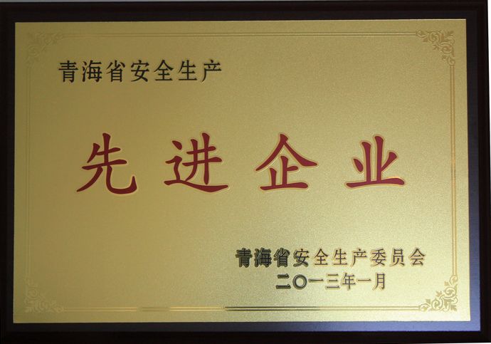 青海物產榮獲“2012年度安全生產先進企業”榮譽稱號