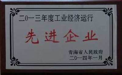 集團榮獲2013年度全省工業經濟運行先進企業